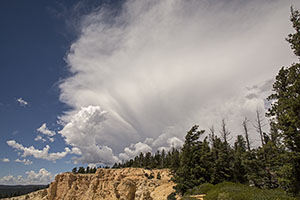 Utah-land